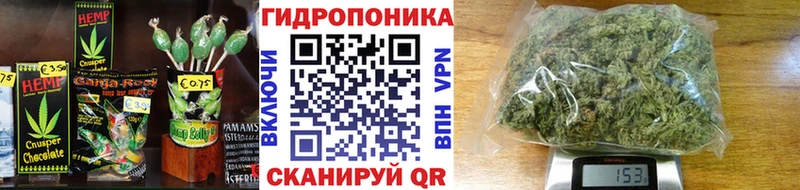 как найти наркотики  Ачинск  Cannafood конопля 