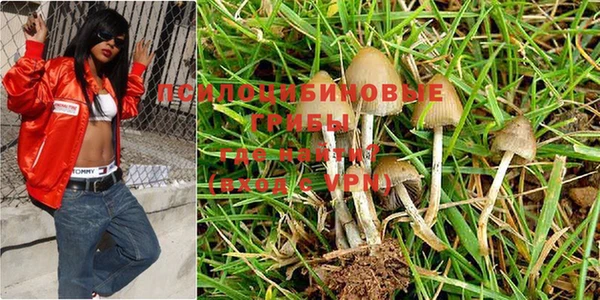 apvp Киреевск