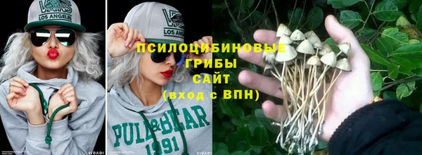 apvp Киреевск