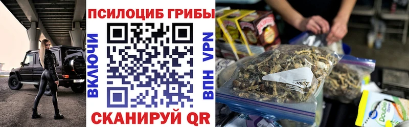 Псилоцибиновые грибы Psilocybe  купить  цена  hydra как зайти  Ачинск 